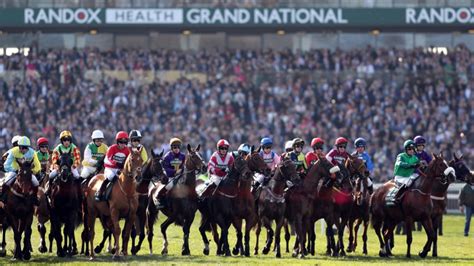 Grand National: A guide to picking the Aintree winner from the .